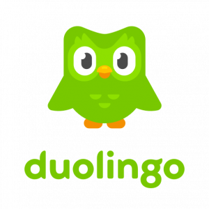 Lee más sobre el artículo Learning Turkish with Duolingo